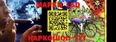 spice Кимры