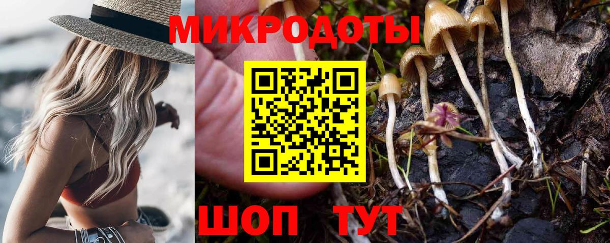 Галлюциногенные грибы Magic Shrooms Черемхово