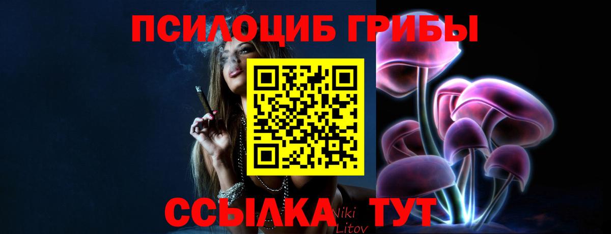 Псилоцибиновые грибы прущие грибы  купить  цена  Черемхово  Вход с VPN 